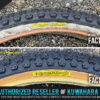 Mistuboshi Tioga Competition III Tire Decals for Vintage Old School Skinwall BMX Tires
